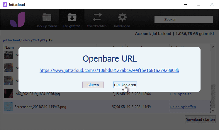 openbare URL delen kopiëren