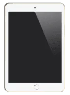 iPad pro